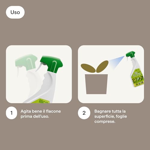 Detalle de Olio di Neem per Piante + Olio di Lino per Piante 1000ml – Illica, Insetticida Naturale per Ort o Giardino e Piante in Vaso