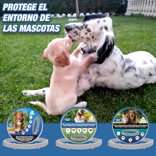 Thumbnail 8 de Tempotech Collar Antiparasitario Natural para Perro – 100% Natural, hasta 8 Meses, 70 cm