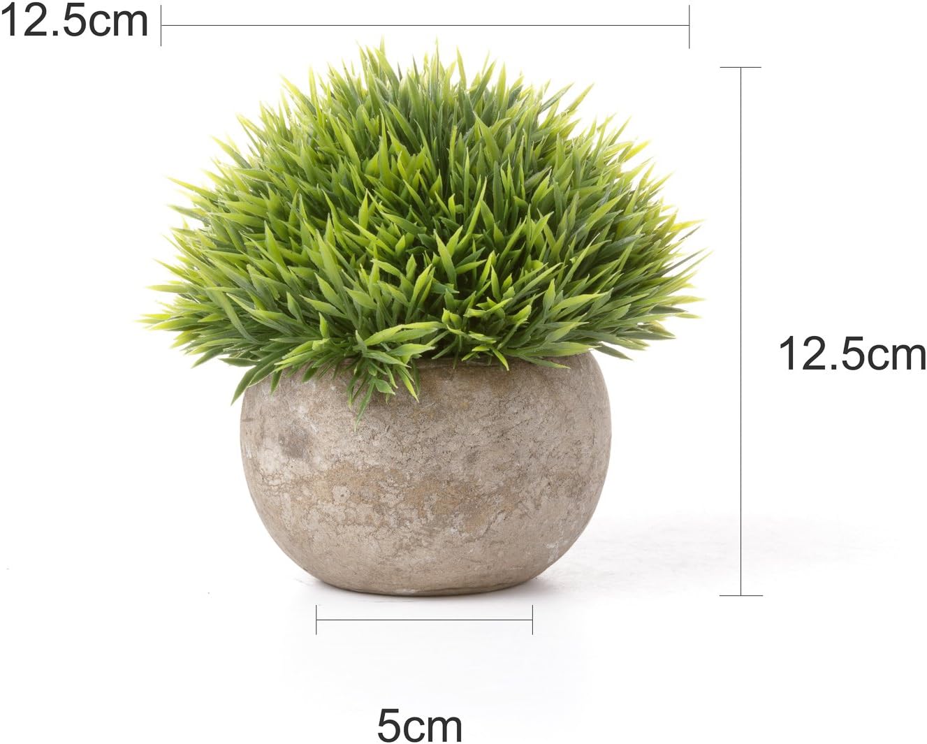 Thumbnail 5 de T4U L1-FZ-SL-PG-PG1153-S-FUC Artificial Plants, Set of 6, 12.5 cm