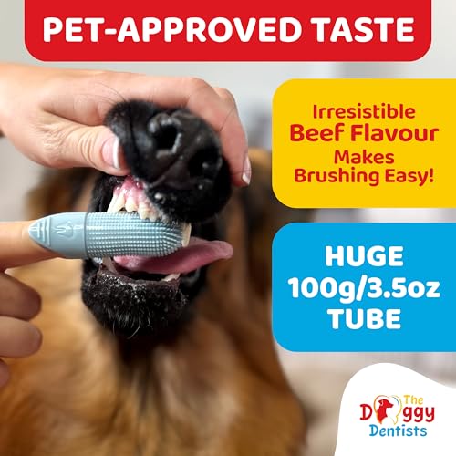 Detalle 1 de The Doggy Dentists Vet Strength Pure Enzymatic Dog & Cat Toothpaste, 100g