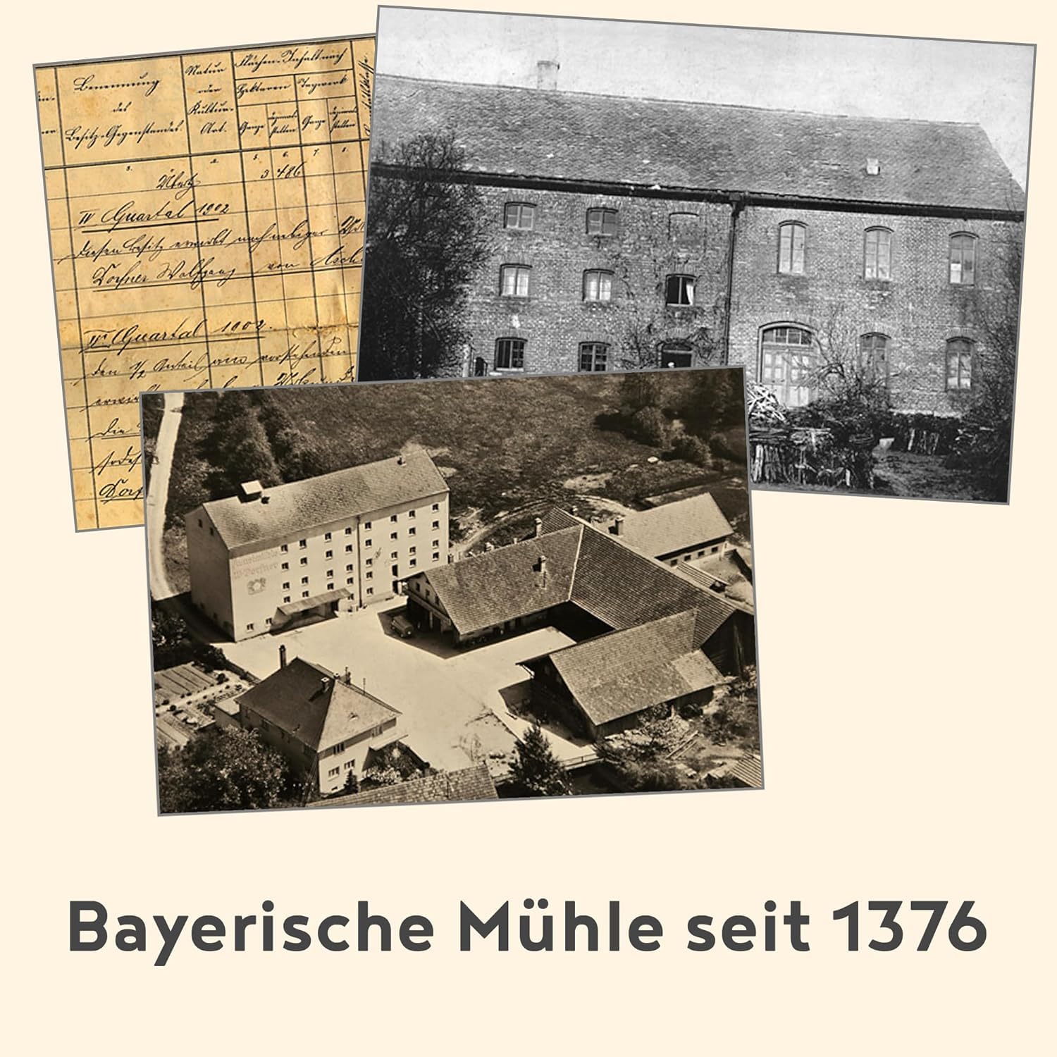 Thumbnail 3 de Weizen Ruchmehl Type 1100 [5 kg] – 14,7% Protein, traditionelles Brotmehl