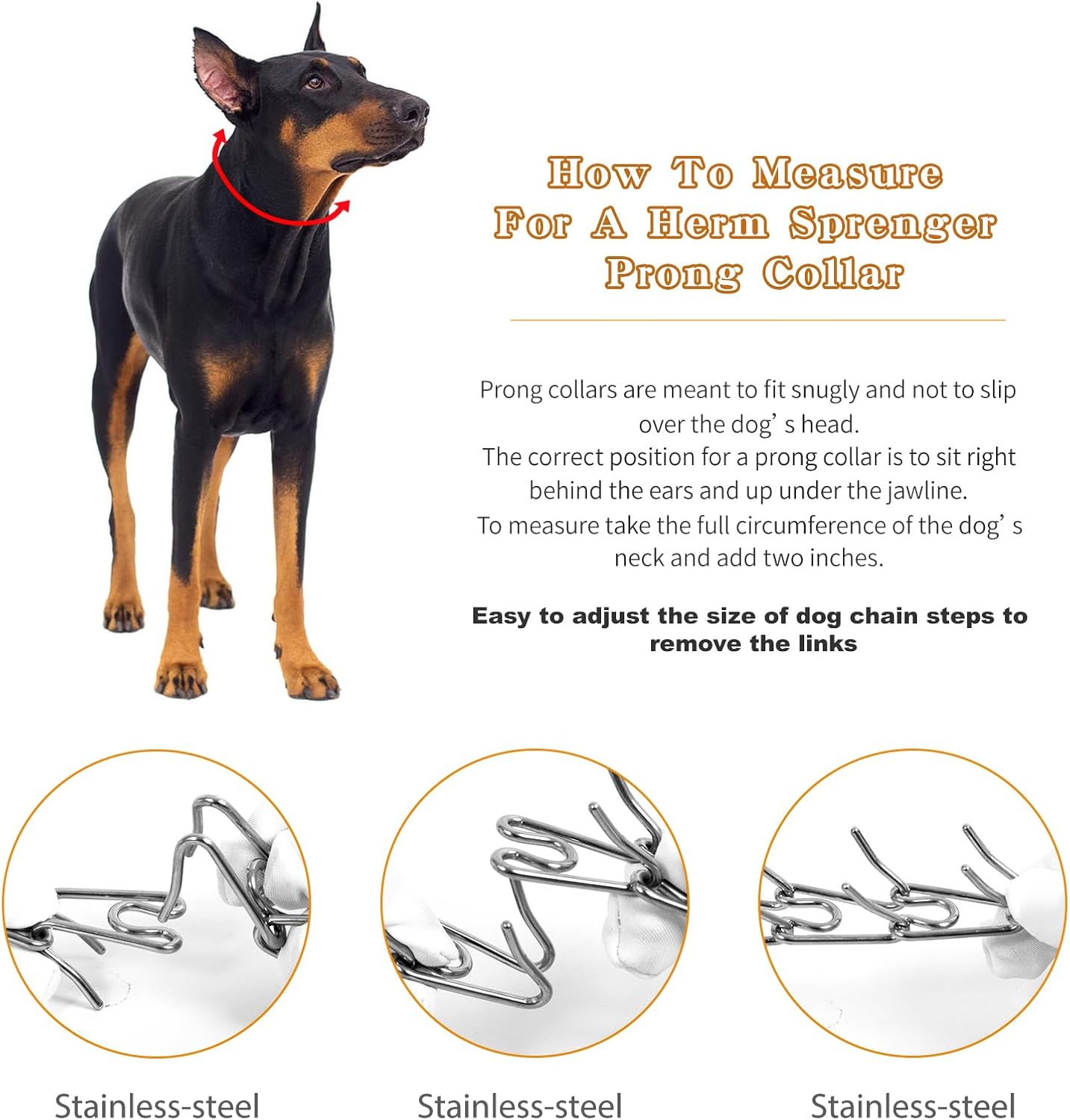 Detalle de Dog Training Prong Collar, 22-Inch