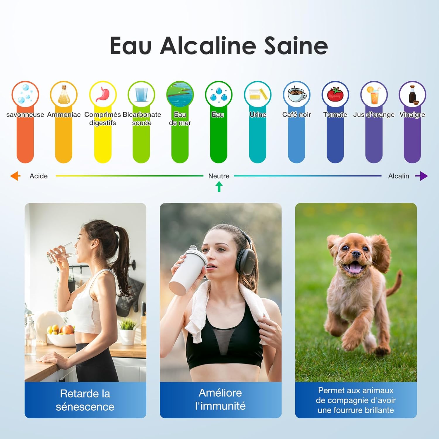 Thumbnail 3 de Purewell Filtre à Eau par Gravité 8,5L – Système de Filtration Ultrafiltration avec Charbon Actif