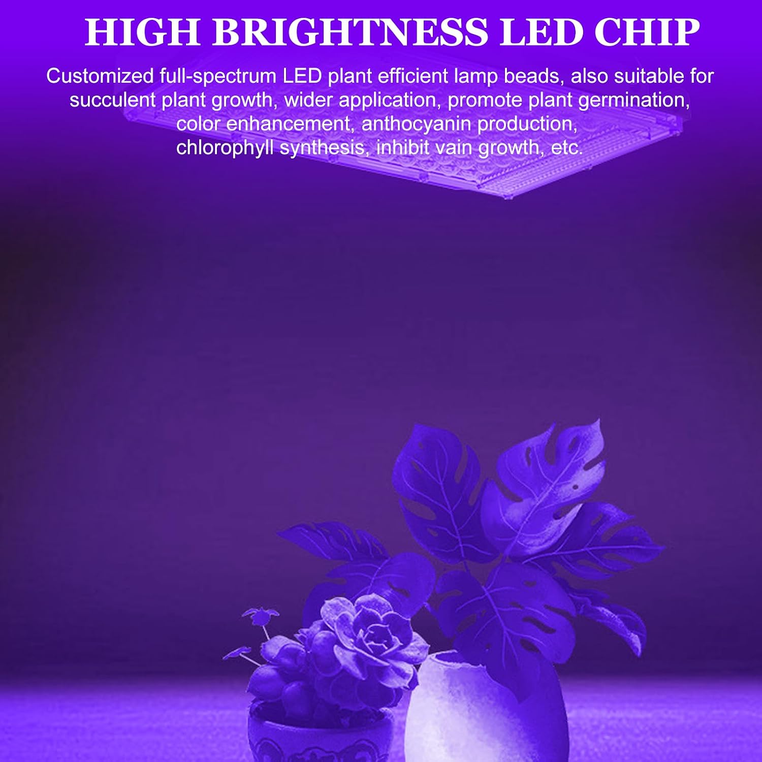 Thumbnail 3 de BAIFULAI LED Schwarzlicht Strahler, set van 2, 50 W, IP66 en UVA 395–400 nm