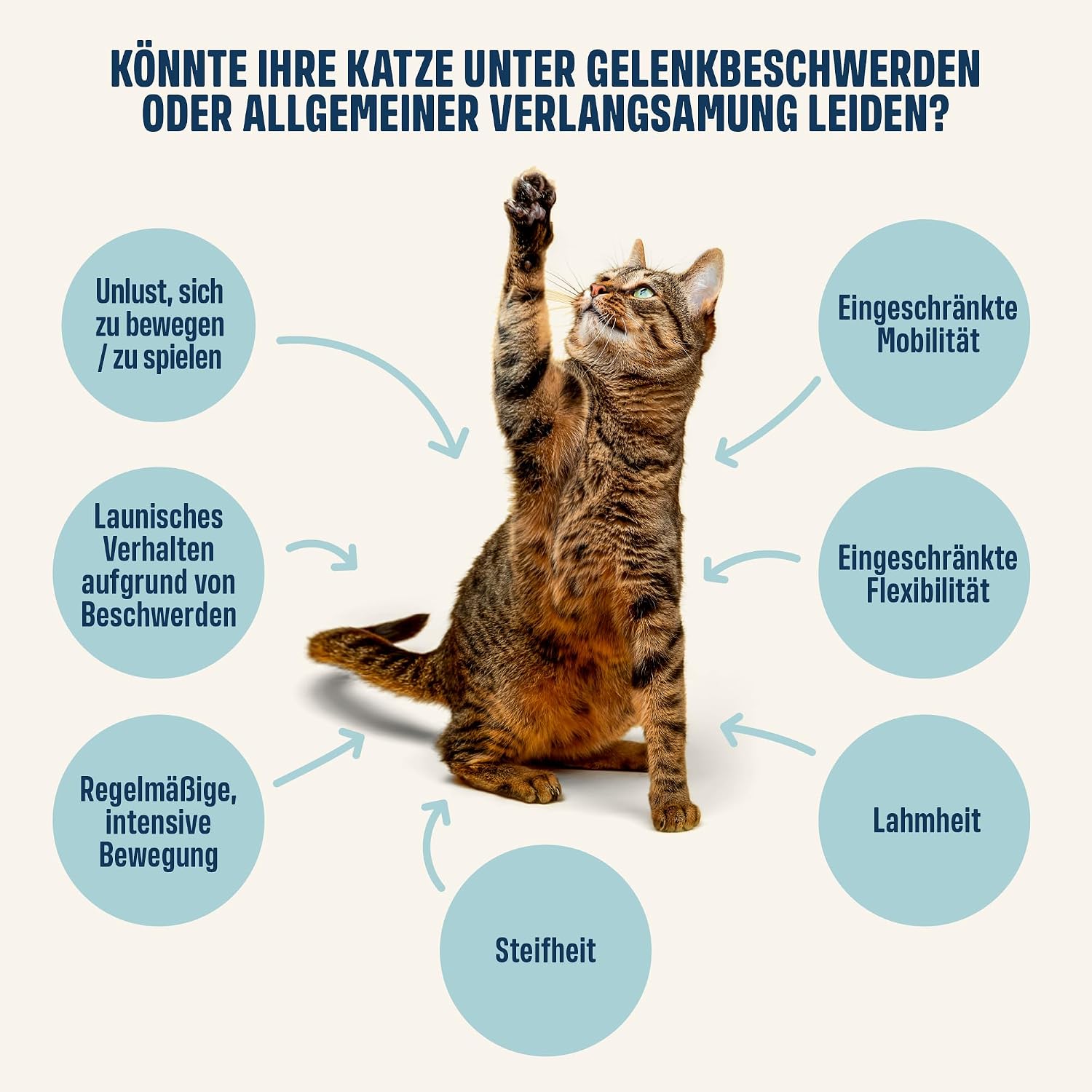 Detalle 1 de ivvi Gelenk Essenz 30×15 g für Katzen 🐱