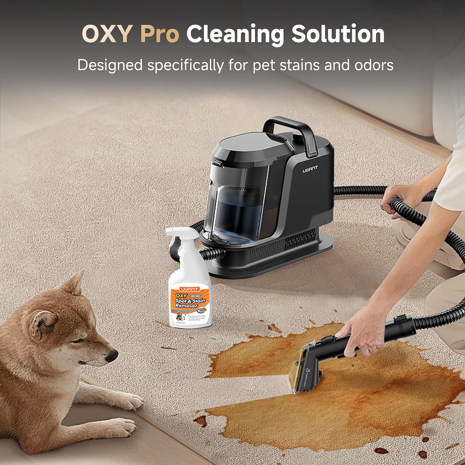 Detalle de Uwant Carpet Cleaner Y100