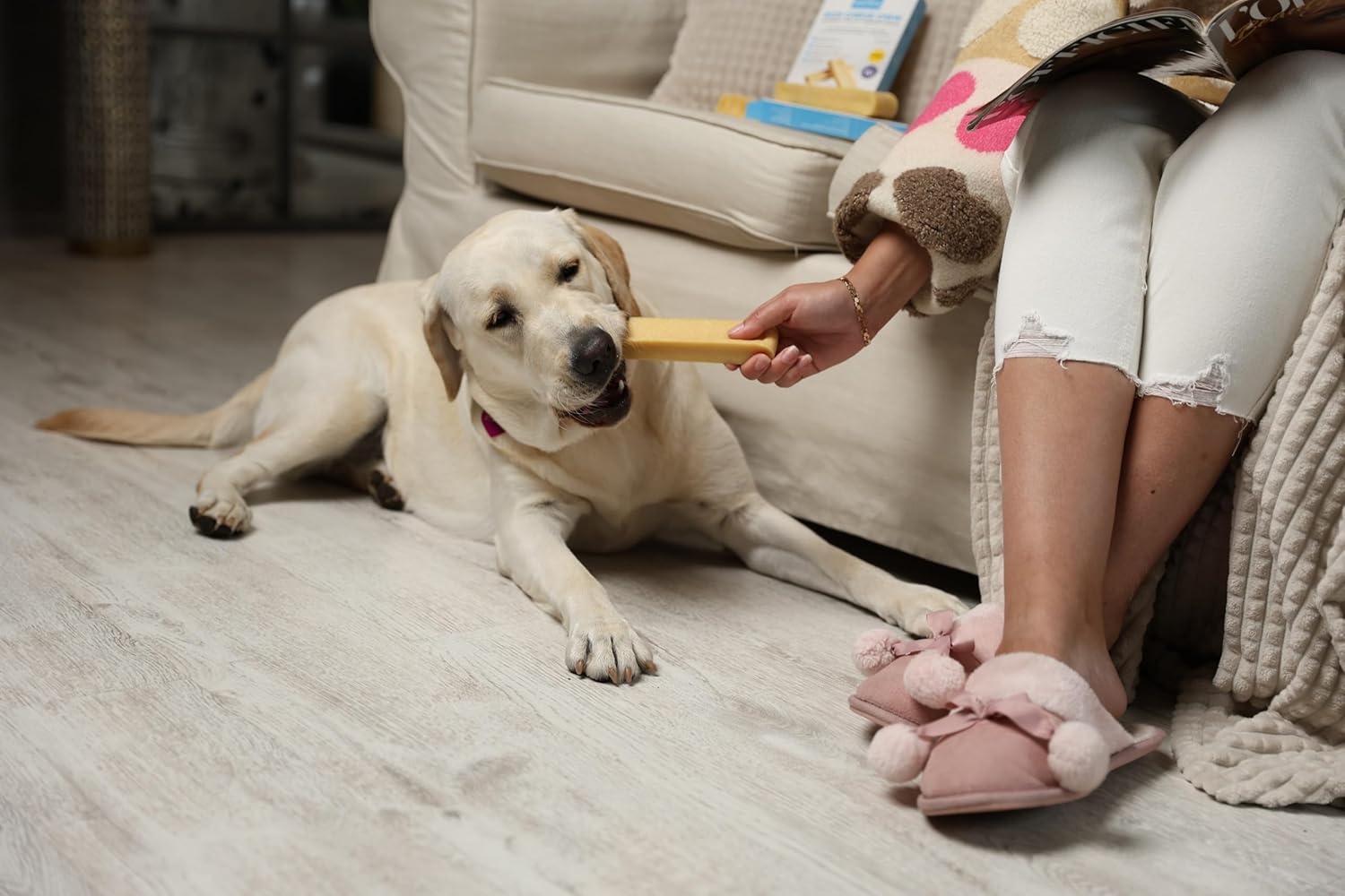 Detalle de WOW BITES osso per cani premium al latte naturale – masticativi di lunga durata Piccolo (140 g, set da 4) taglia S