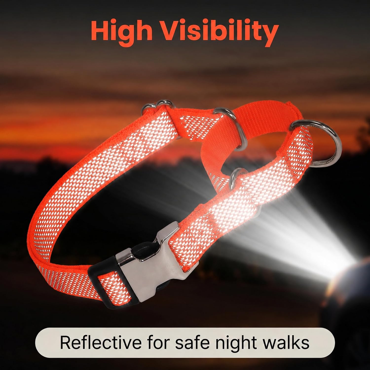 Detalle 2 de TDTOK MDGE Martingale Dog Collar with Reflective Nylon and Metal Quick-Release Buckle