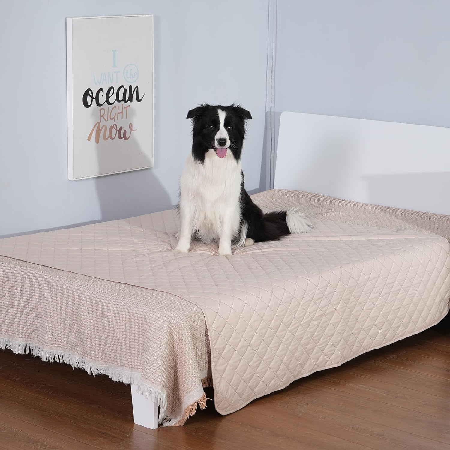 Thumbnail 1 de HezzLuv Dog Blanket for Bed Cover 203x152cm – Furniture Protector for Medium to Large Pets