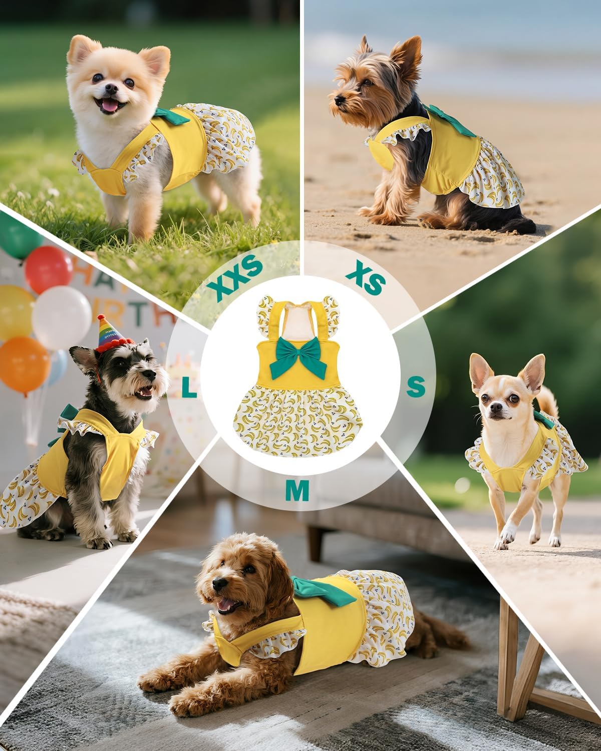 Thumbnail 4 de CuteBone Dog Dress ZSFX03M