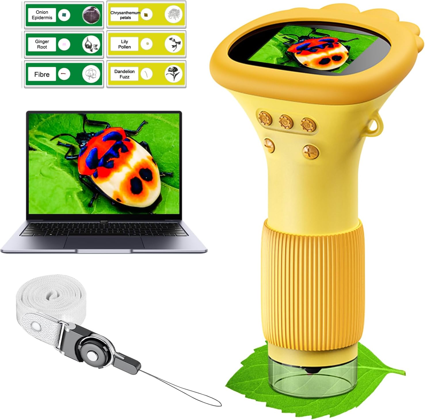 Detalle de WINWEND Kids Microscope 1000X
