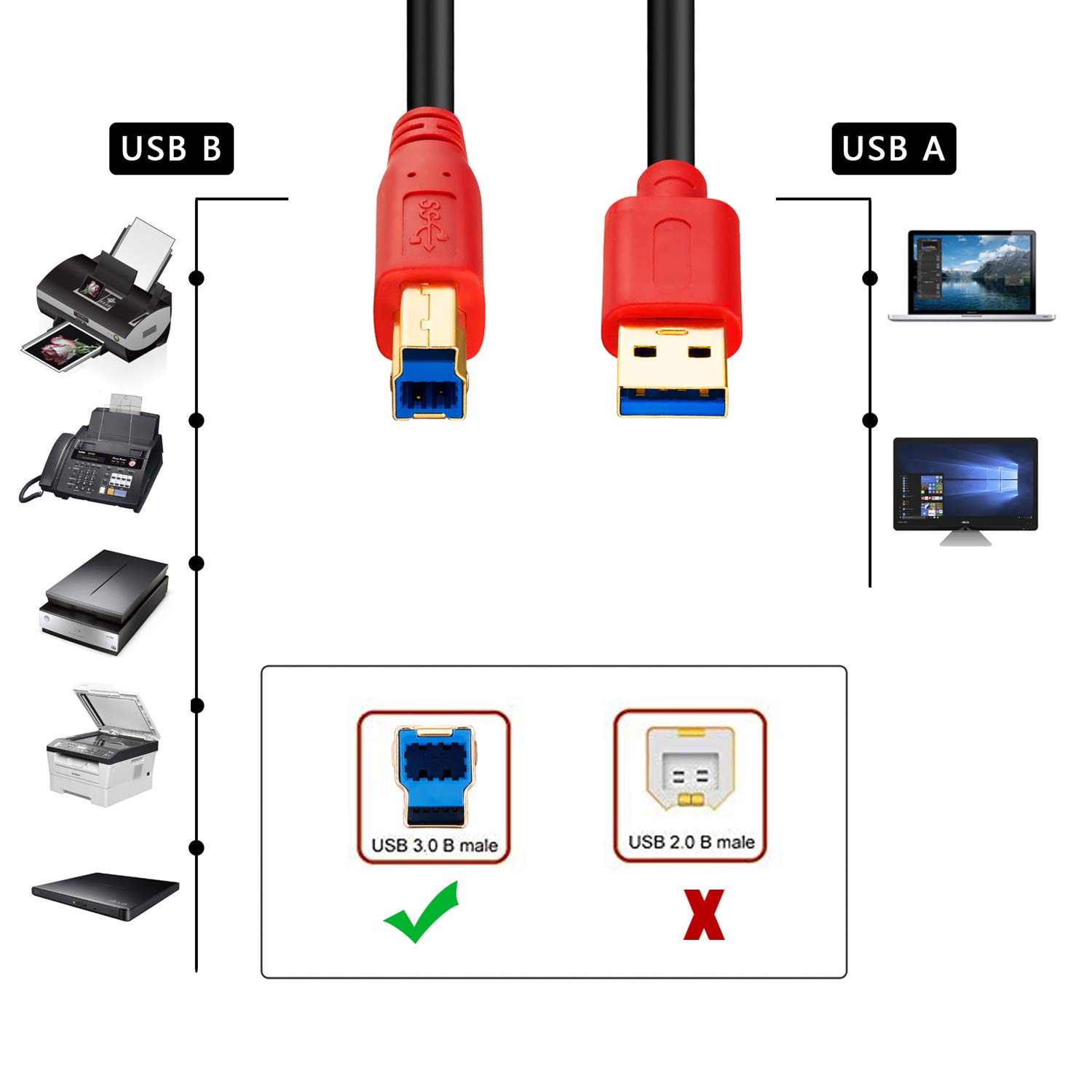Thumbnail 6 de TanQY USB 3.0 A to B Male Cable (0.5M) – Red
