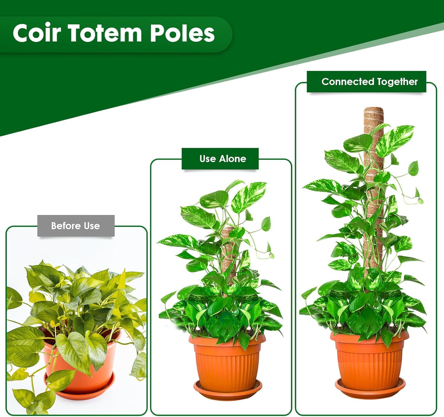 Thumbnail 2 de Mactoou Moss Pole 41cm