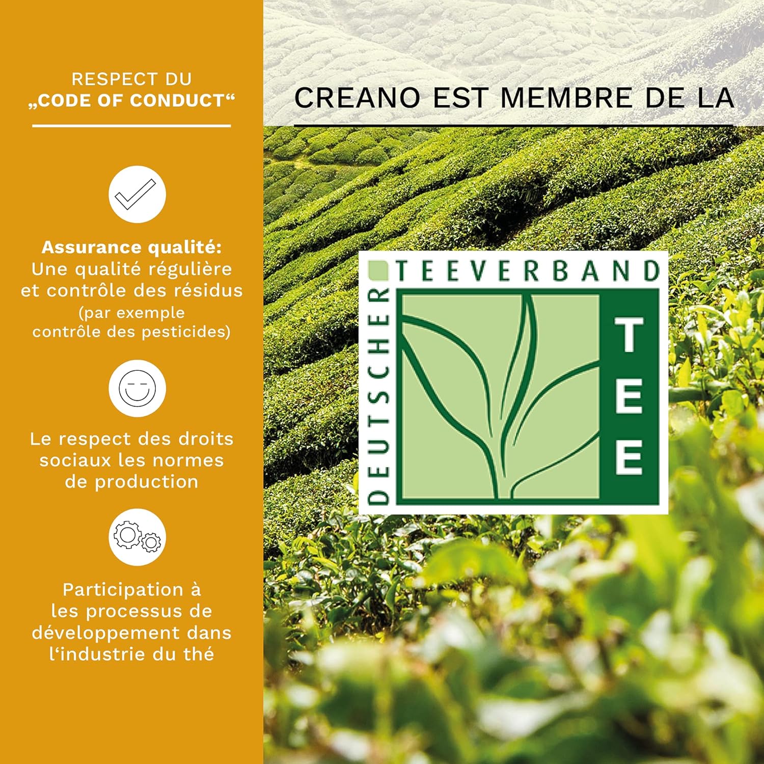 Thumbnail 3 de Creano Set cadeau fleurs de thé 200ml 🍵