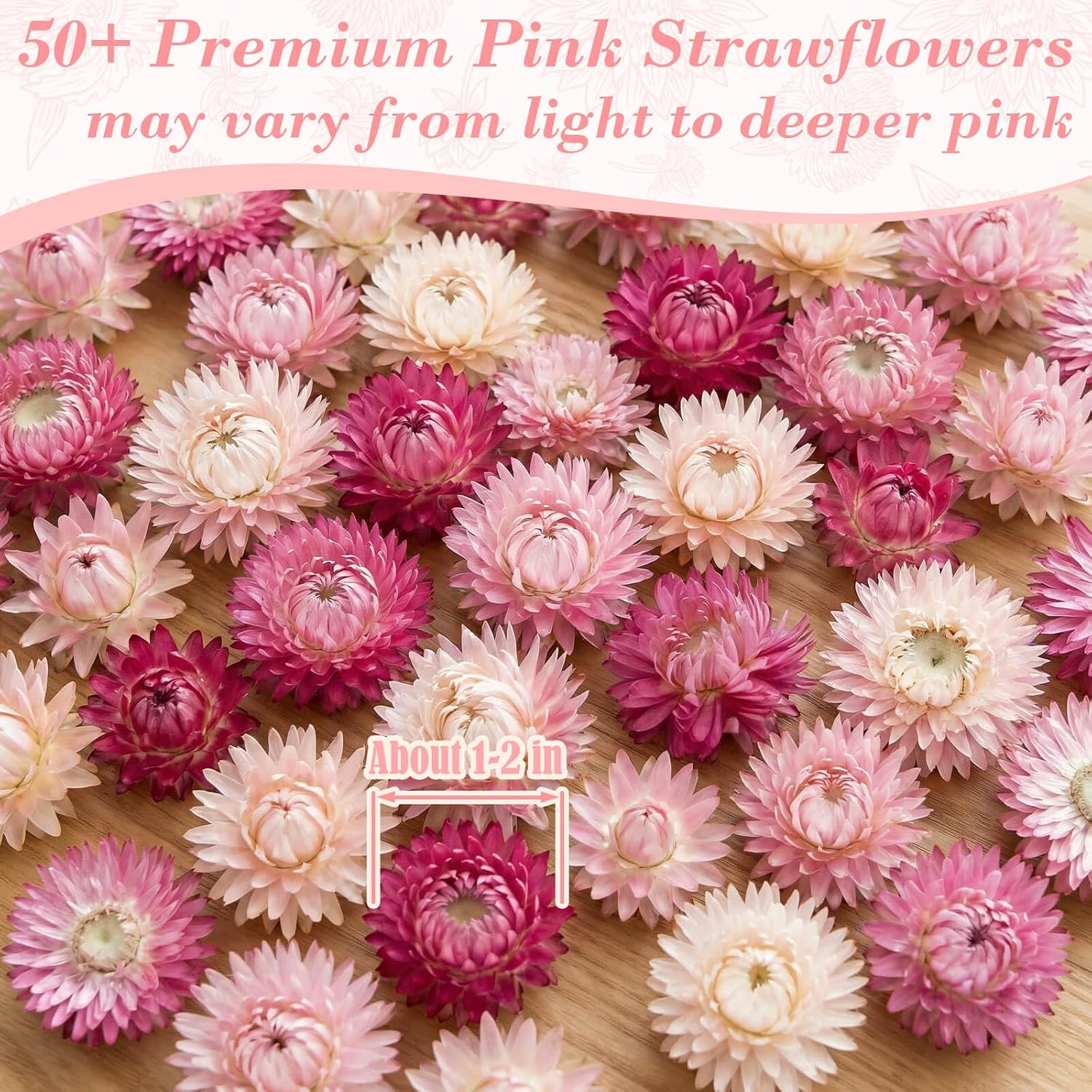 Detalle de Rylenor Edible Pink Dried Strawflowers, Food-Grade Helichrysum, 50+ Pieces