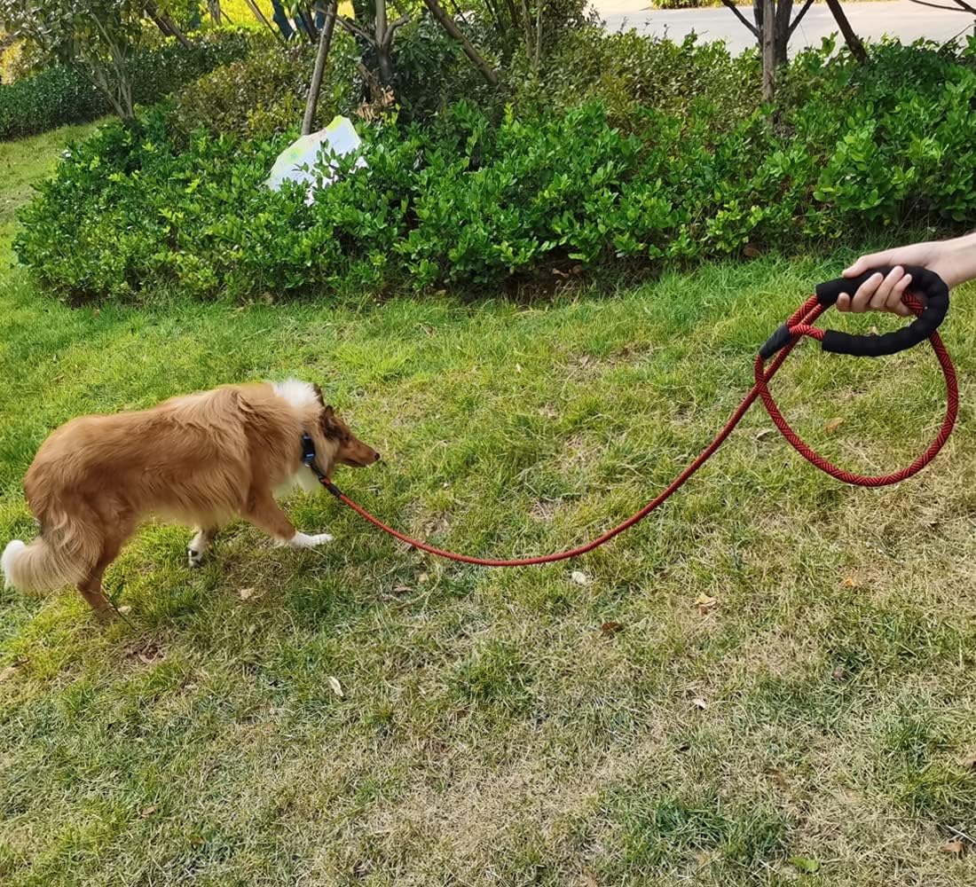 Detalle de MayPaw Heavy Duty Rope Dog Lead (1/2", 3–15 ft) with Soft Padded Handle