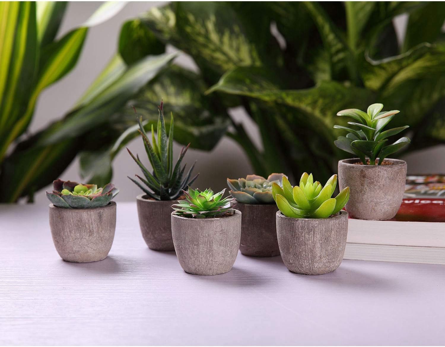 Thumbnail 2 de T4U Mini Artificial Succulent Plants, 6 Pack in Plastic Pots
