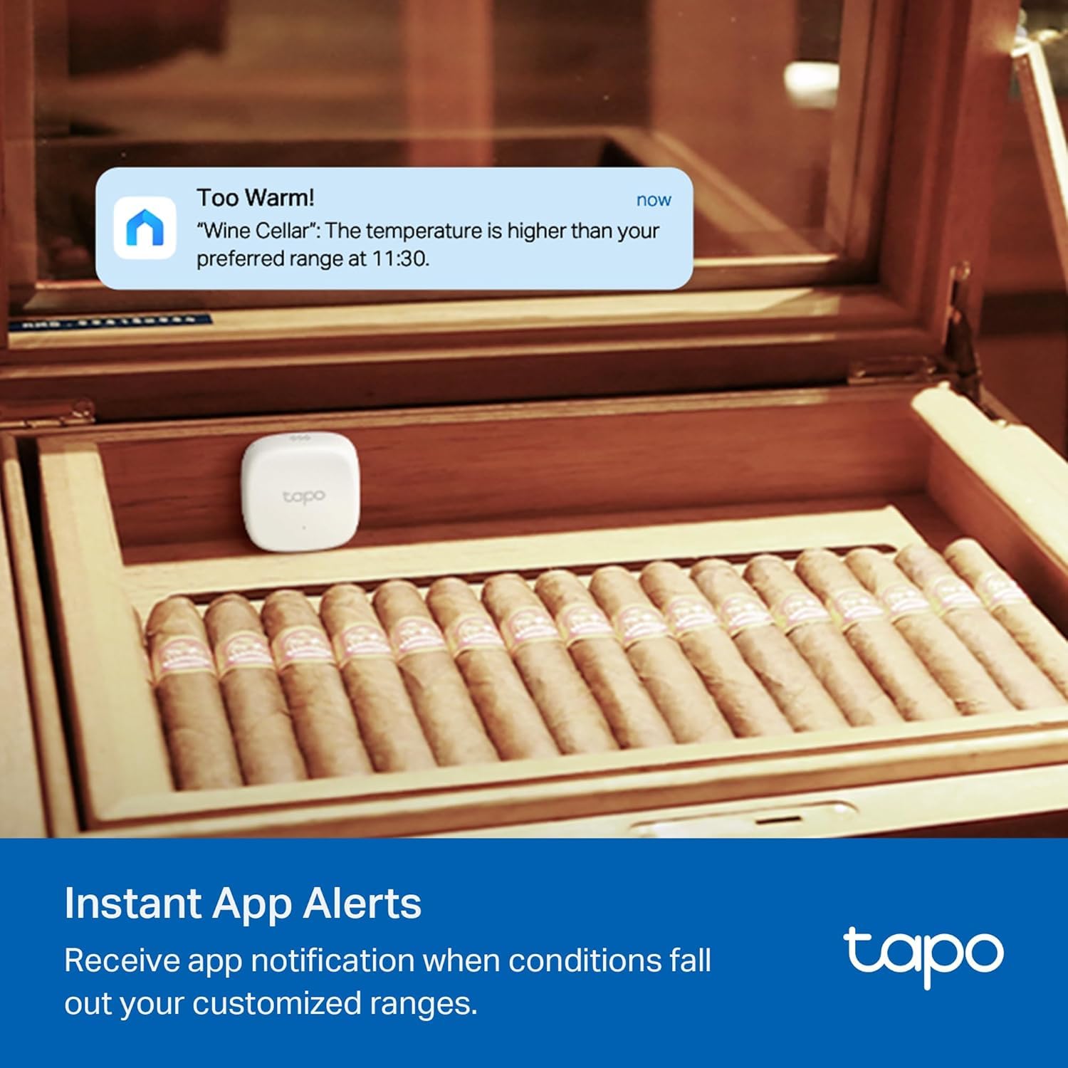 Detalle de Tapo T310 Temperature and Humidity Sensor with Swiss-Made Sensor and App Alerts