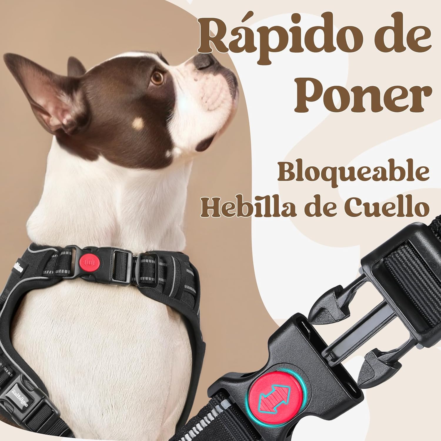 Thumbnail 2 de rabbitgoo Arnés Perro Mediano 3 Hebillas L