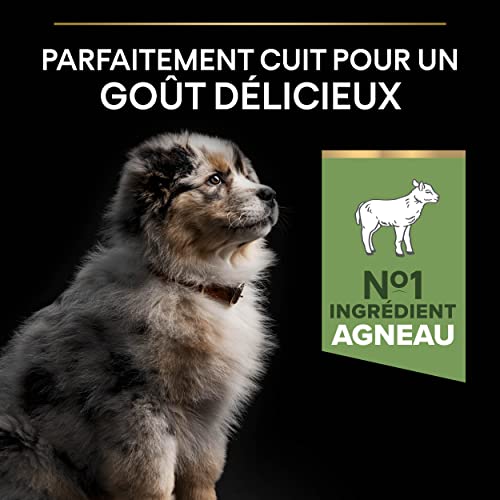 Detalle de Purina Pro Plan Sensitive Digestion - Croquettes Chiot Moyen Agneau (3 kg)