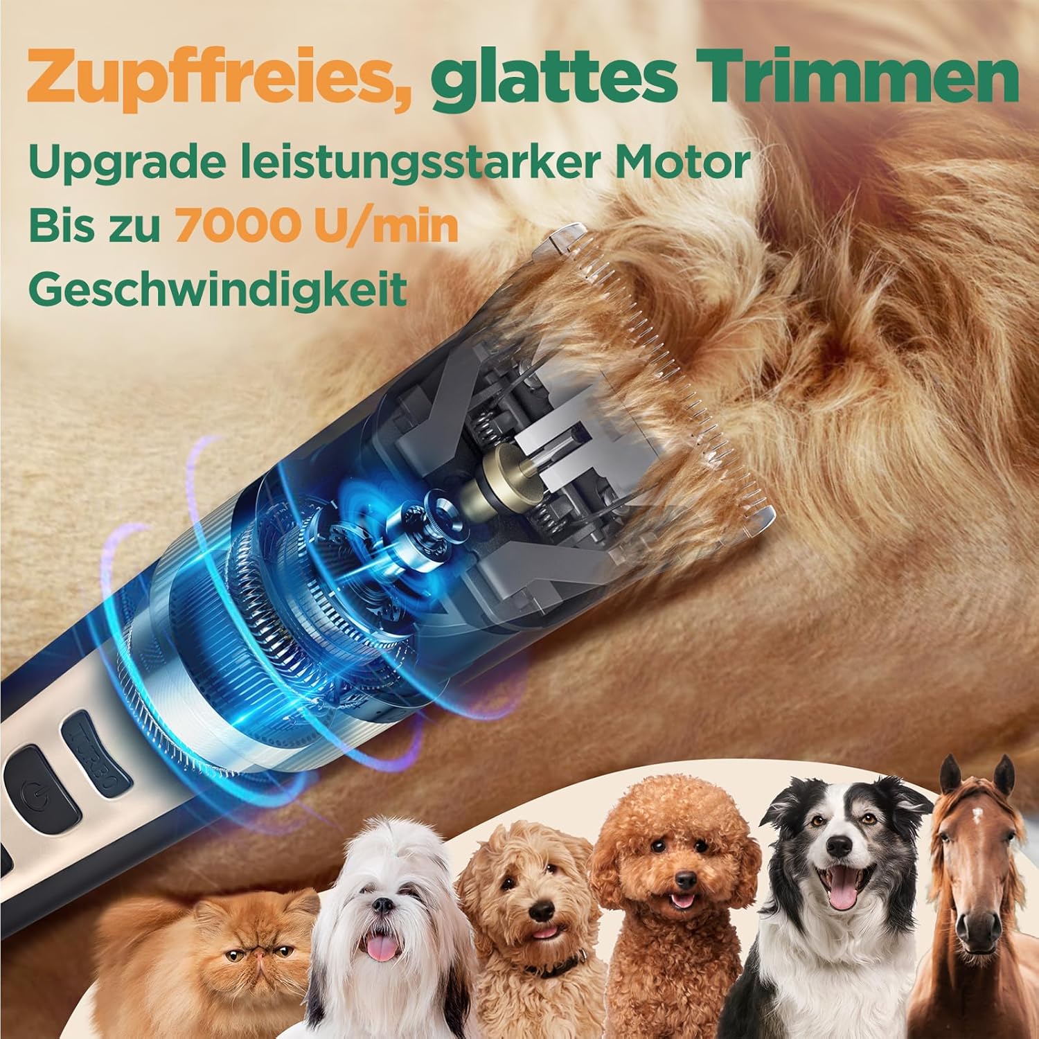 Thumbnail 2 de Gimars 4-in-1 Hundeschermaschine Set (4 Geschwindigkeiten, USB-aufladbar, leise) – mit Hunde Trimmer
