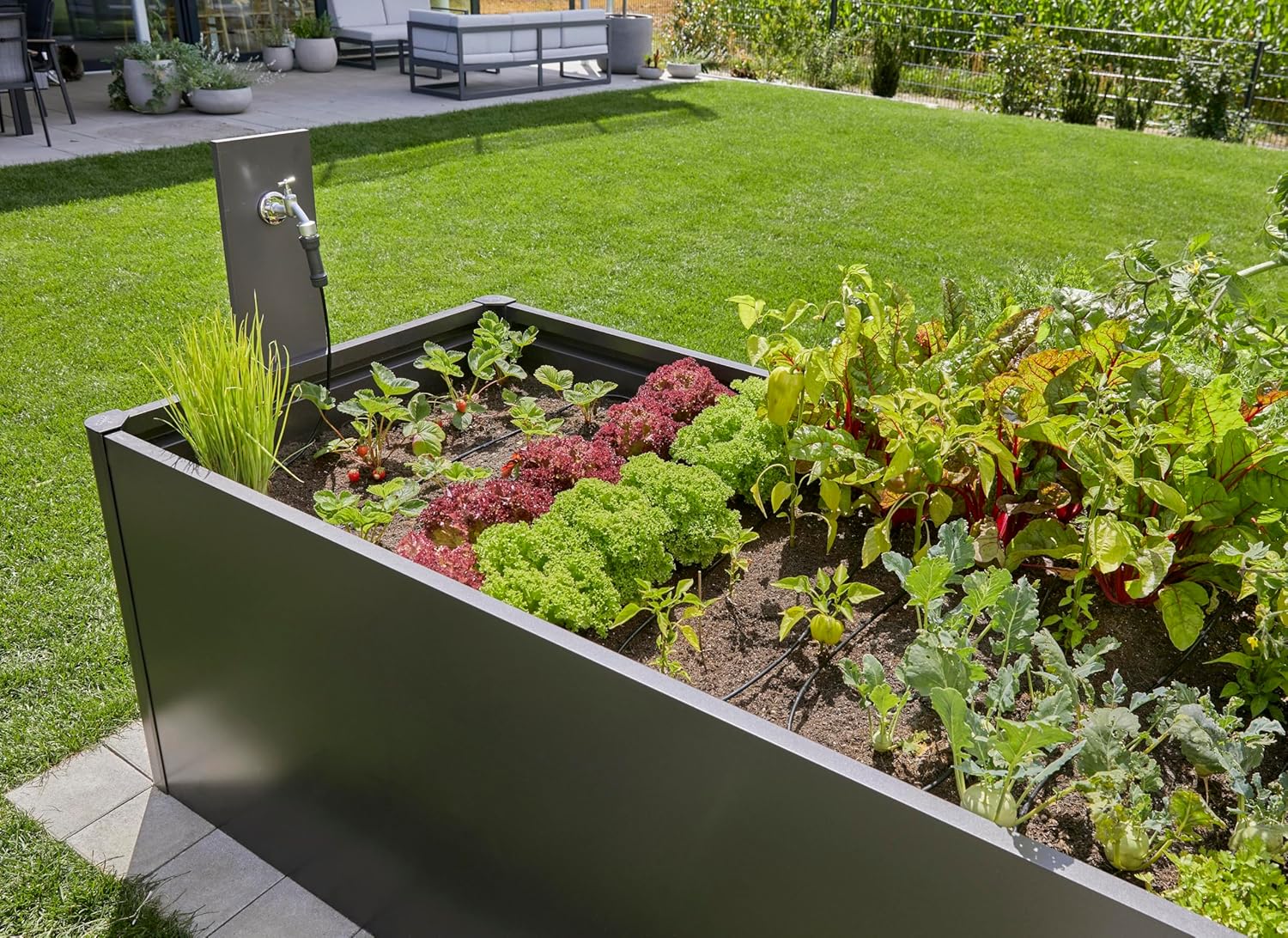 Thumbnail 6 de Gardena Micro-Drip-System Tropfbewässerung Set Hochbeet/Beet (35 Pflanzen) – 13455-20