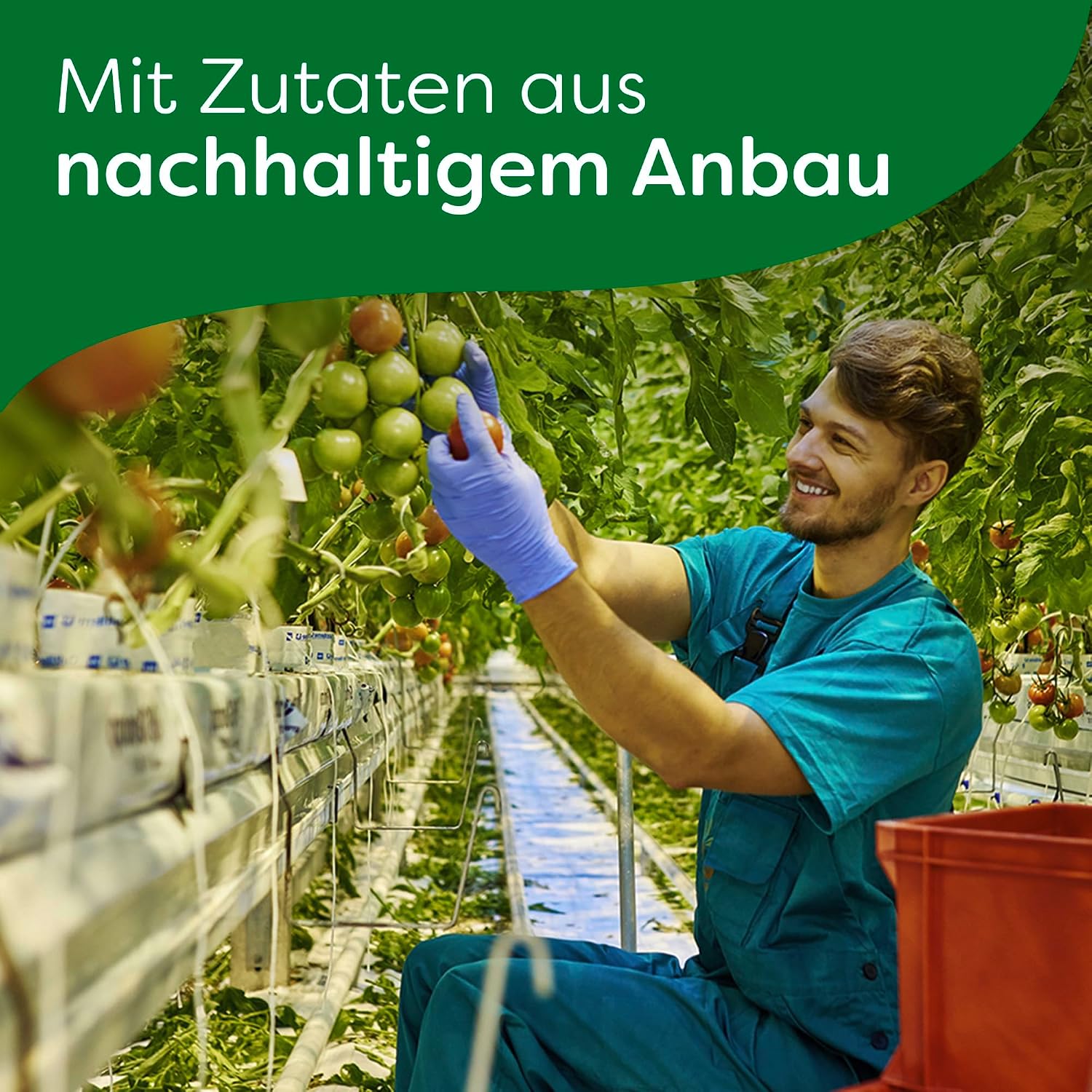 Detalle de Knorr Feinschmecker Waldpilz Cremesuppe – cremig, natürliche Pilzaromen ohne Zusatzstoffe