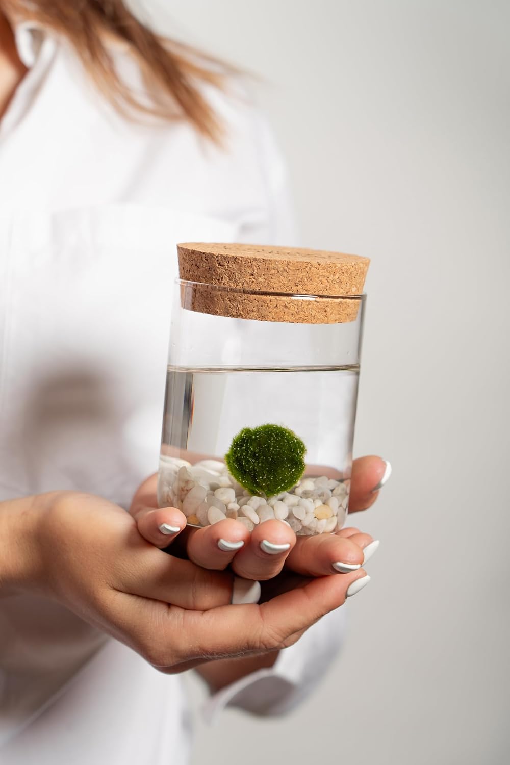Thumbnail 2 de KAKI La Felicità è Nelle Piccole Cose – Marimo Singolo in Vaso di Vetro con Tappo Sughero