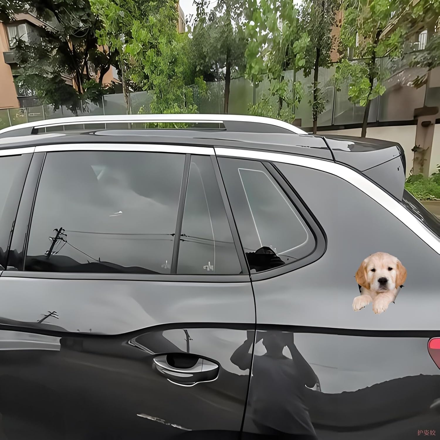 Thumbnail 5 de Autoaufkleber Golden Retriever 18 cm