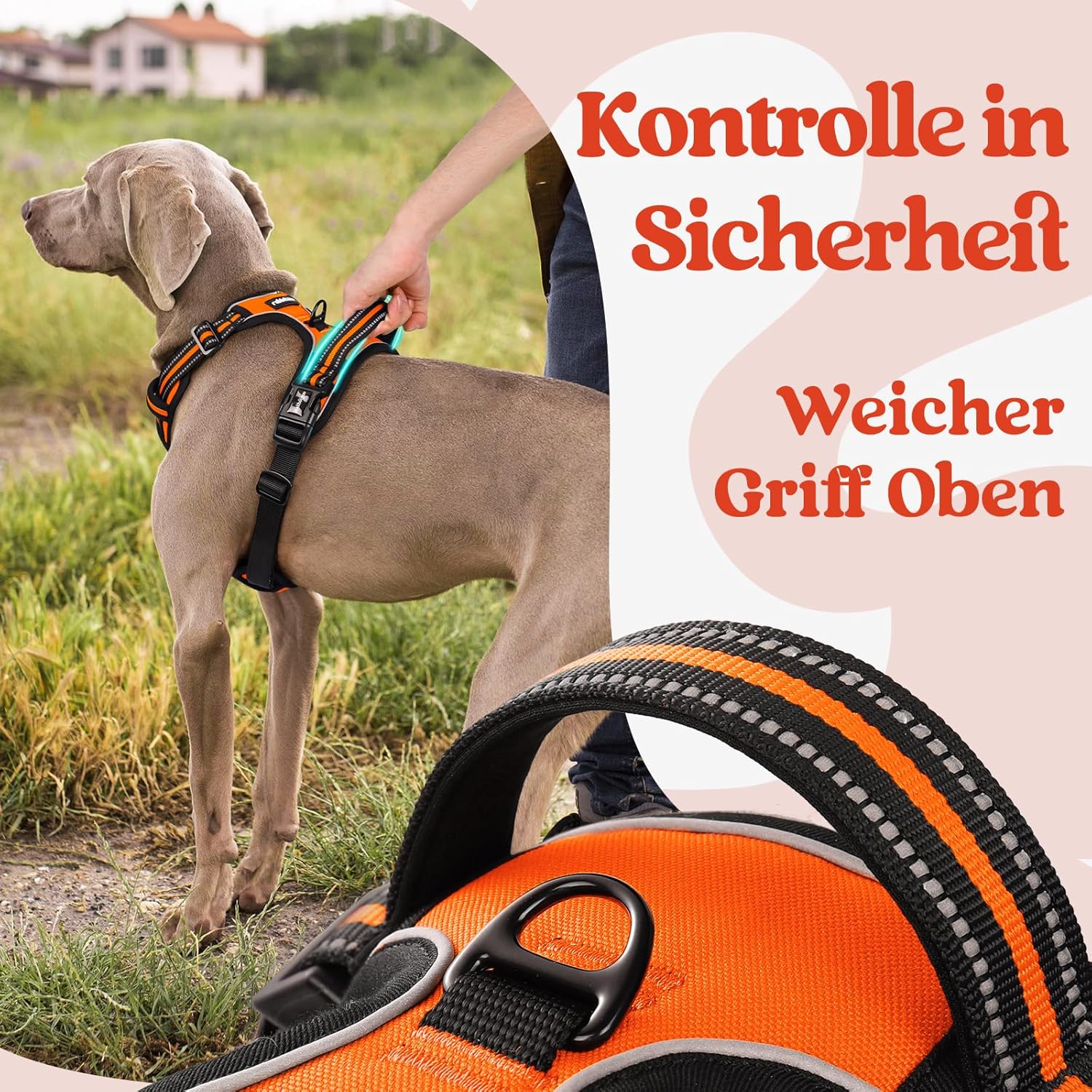 Thumbnail 4 de rabbitgoo Hundegeschirr Mittelgroße Hunde (Orange, Größe M) mit Anti-Zug, gepolsterter & reflektierender Brust