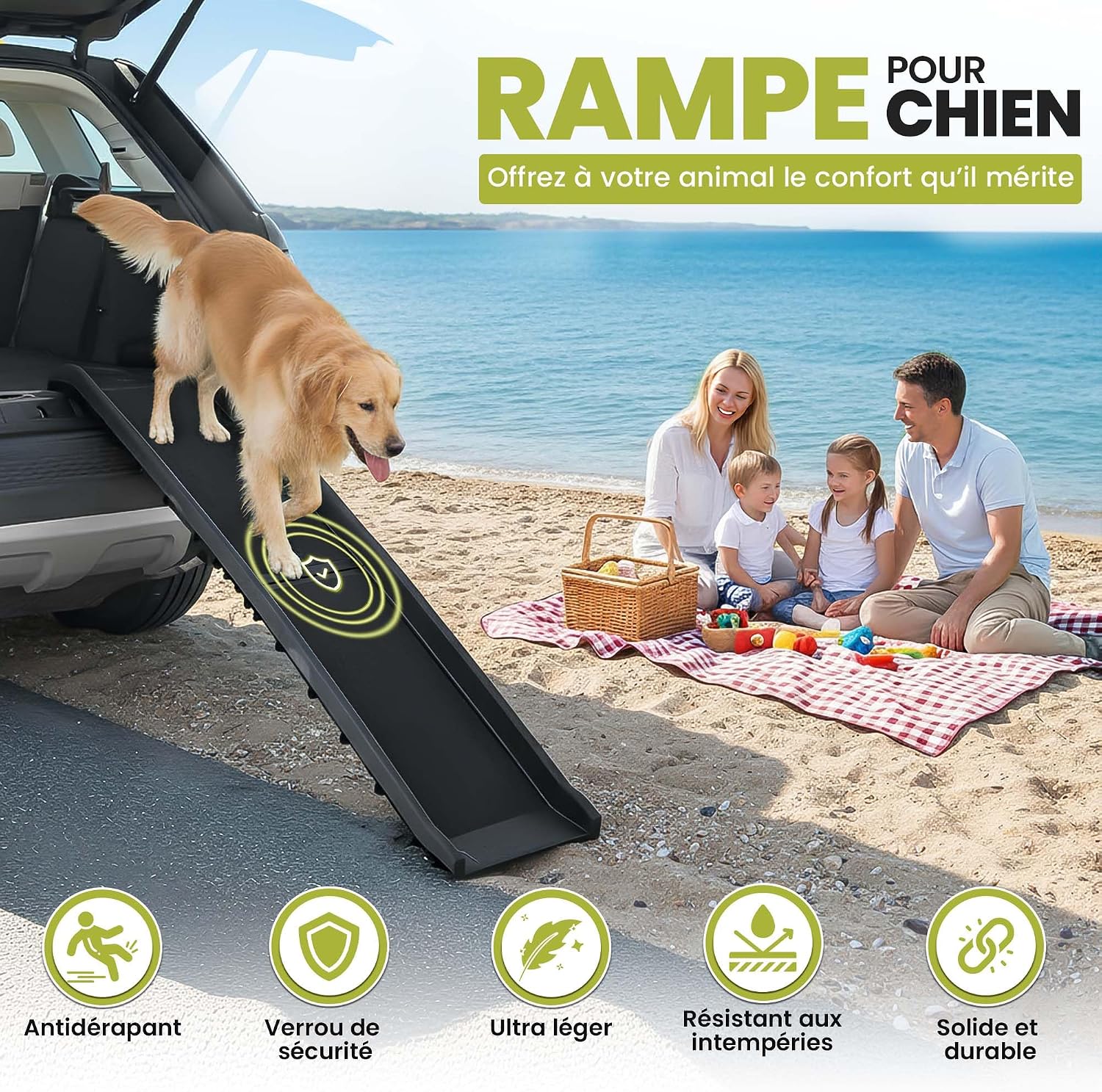 Detalle de all Pets United Rampe pour Chien Pliable – Accès Coffre Voiture