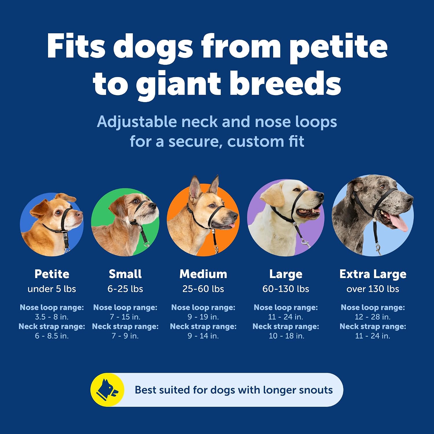 Detalle 1 de PetSafe ジェントルリーダー GL-Q-HC-S-BLK 犬用ヘッドカラー クイックリリース S ブラック