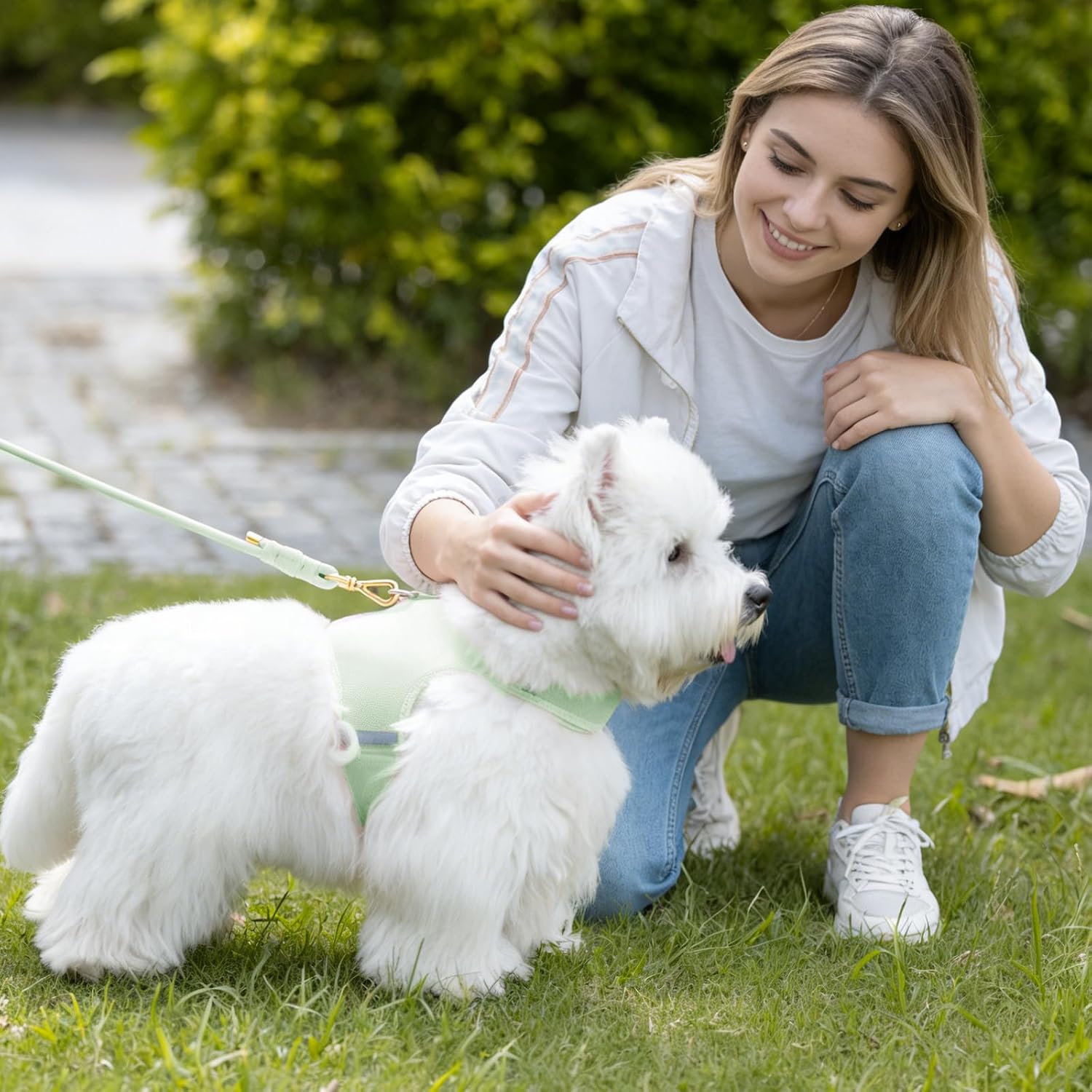 Thumbnail 6 de Sunraymascota Dog Leash, 5FT