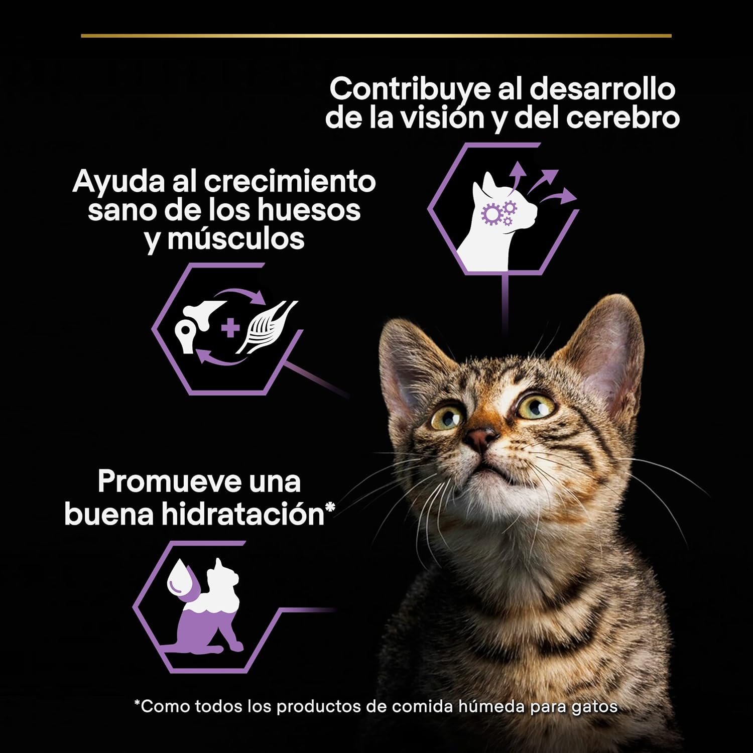 Detalle de Pro Plan Feline Junior PAVO 26X85GR – Croquettes/terrines pour chatons au poulet (26 sachets de 85 g)