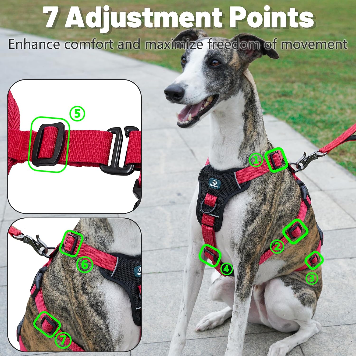 Thumbnail 6 de Paworld Escape Proof Dog Harness (XL) – 3-Point Greyhound Harness with Front Clip for Whippet and Large Breeds