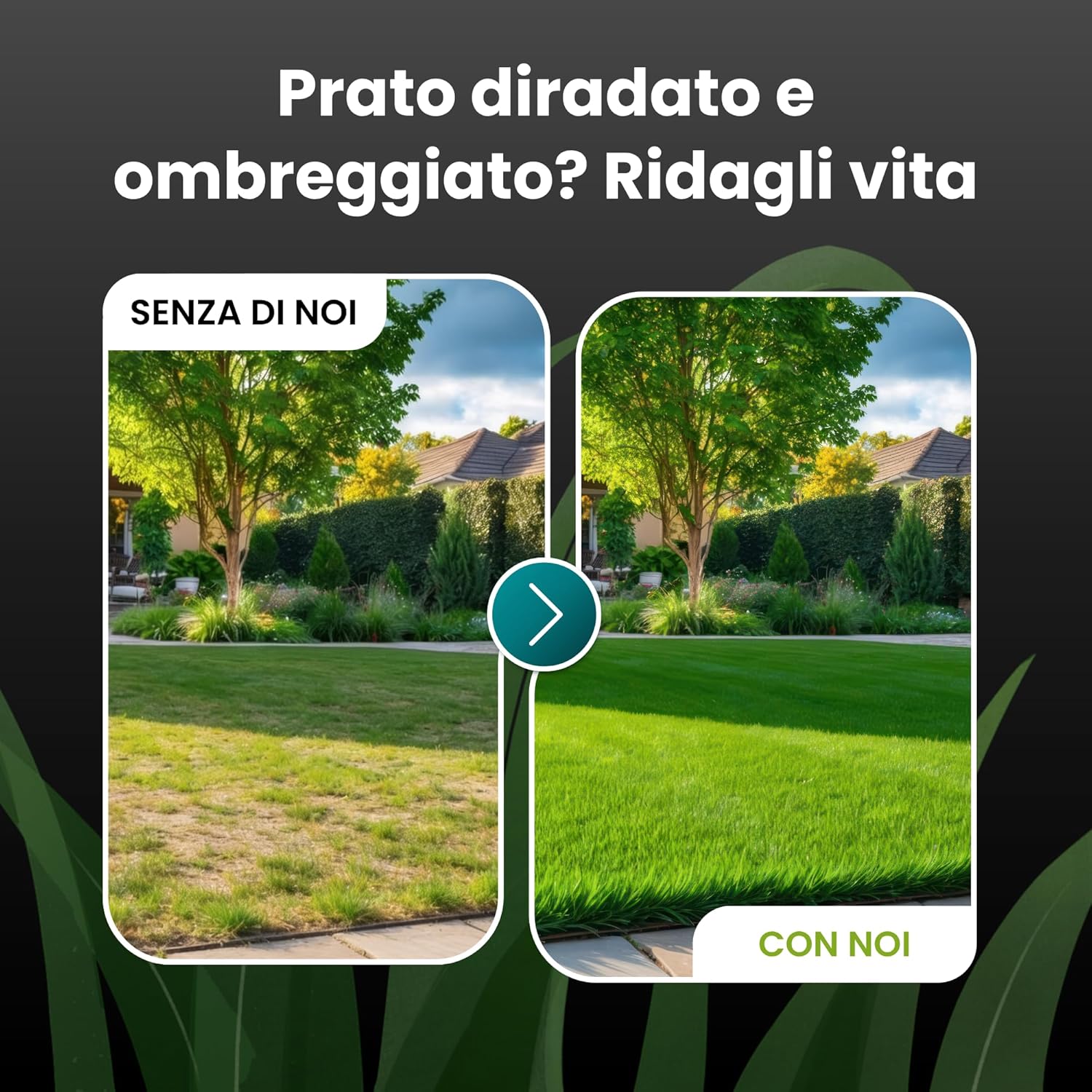 Thumbnail 2 de LERAVA TURBO Semi Loietto Perenne (30 m²) - Prato resistente e rapido, verde brillante