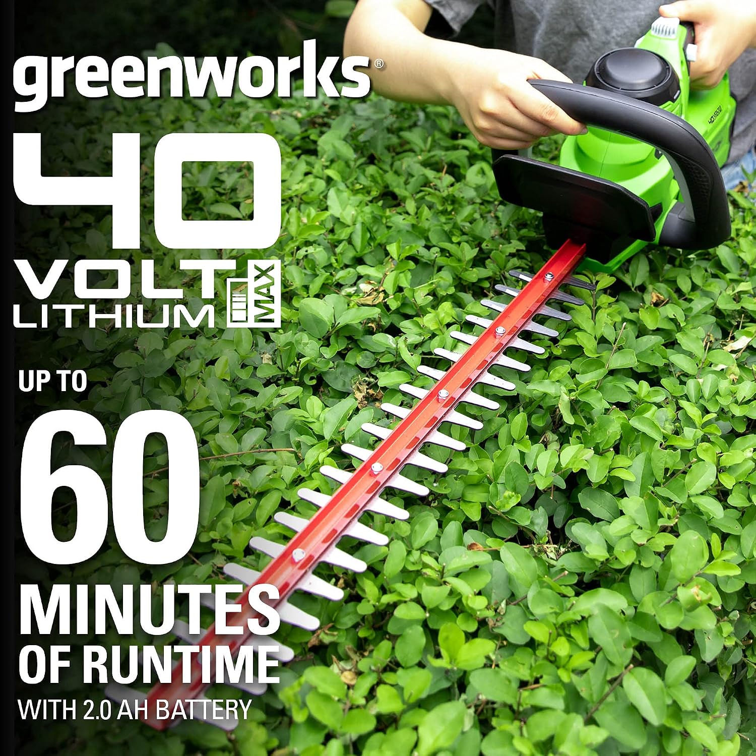 Detalle de Greenworks Cordless Hedge Trimmer 24-Inch