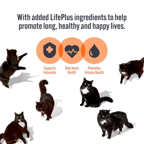 Detalle de HiLife It's Only Natural Complete Wet Cat Food – The Big Chicken One in Jelly (32 x 70g)