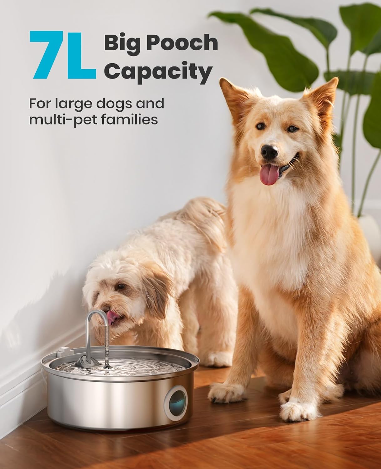 Thumbnail 1 de oneisall Dog Water Fountain 7L/230oz: Stainless Steel, Ultra-Quiet, 5-Stage Filtration