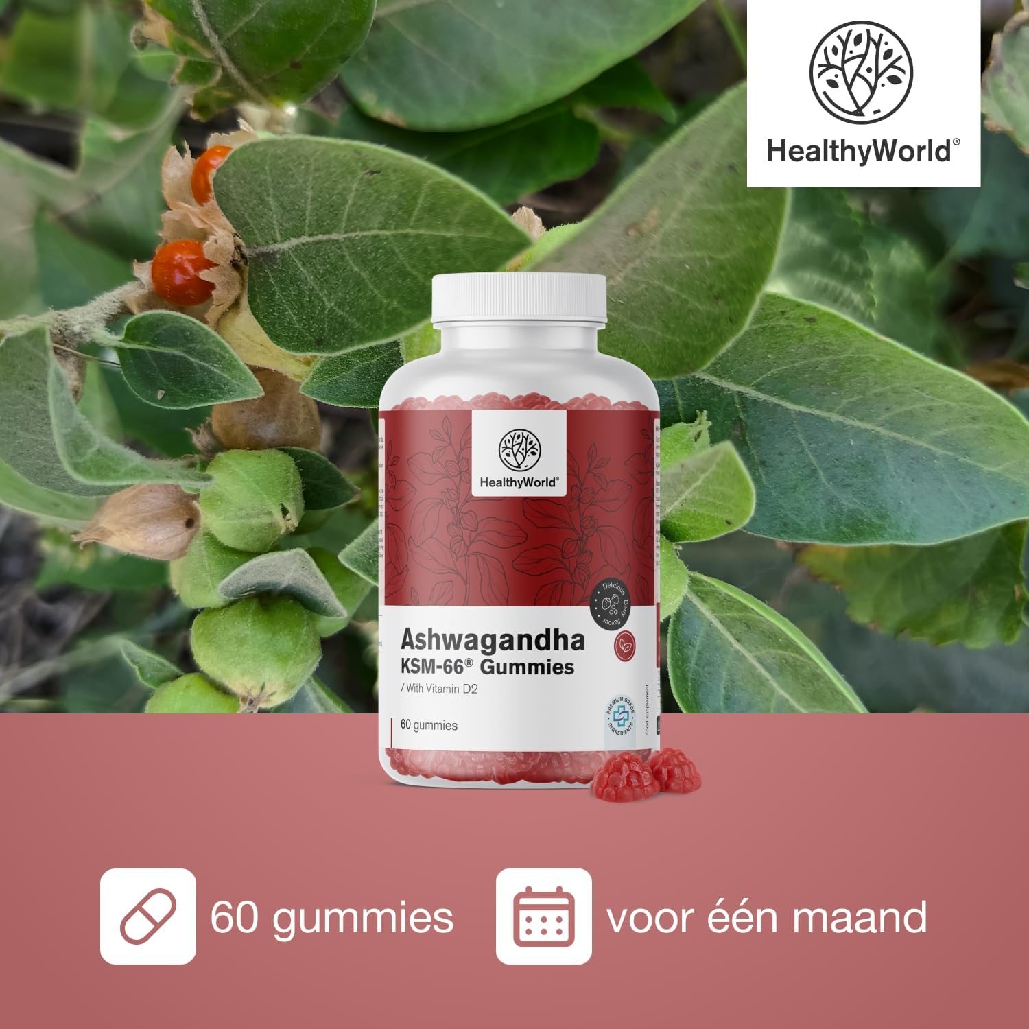 Detalle 2 de HealthyWorld Ashwaganda KSM-66® 300 mg gummies met vitamine D2 en bosvruchtensmaak
