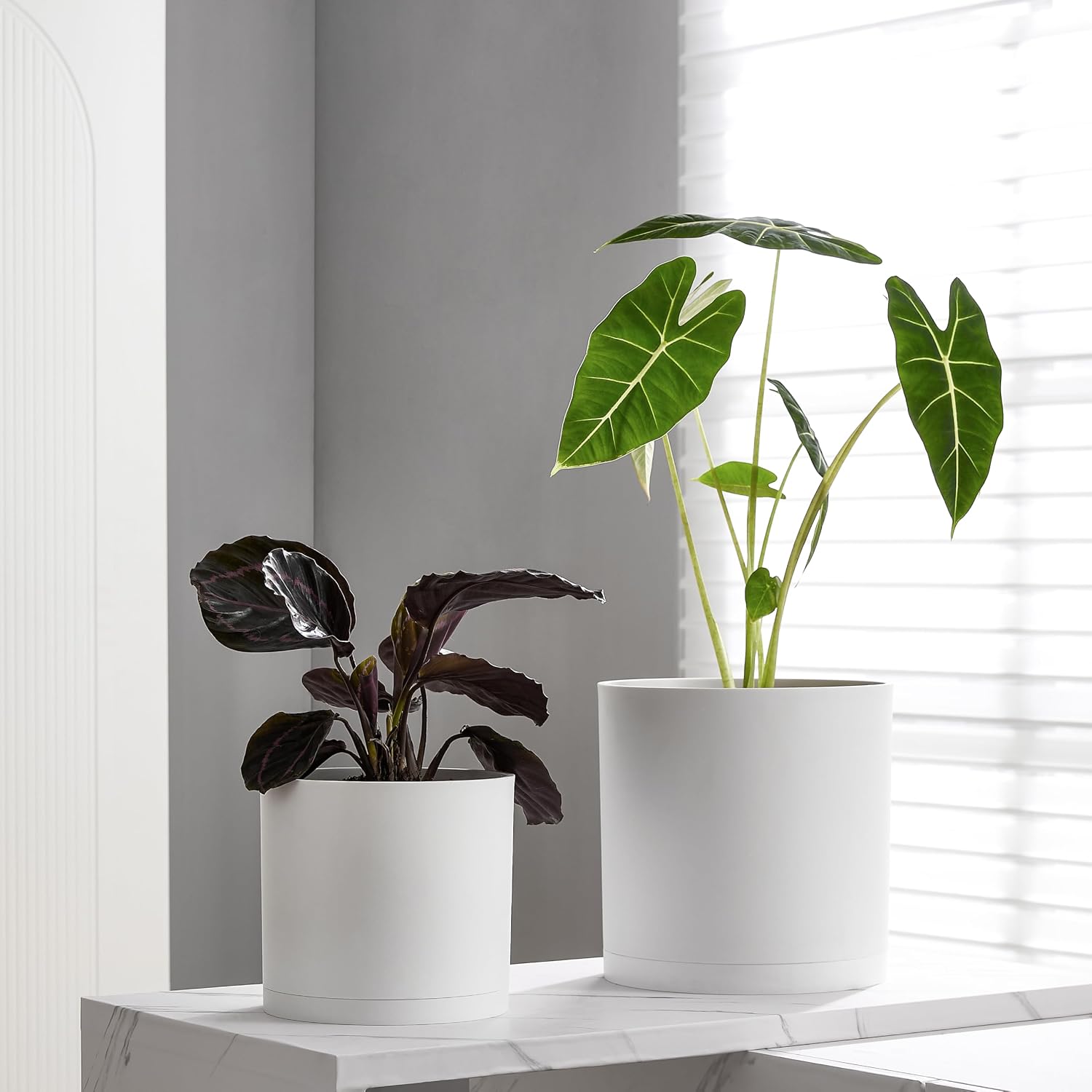 Detalle 1 de FaithLand Cylinder Planter, 8-Inch