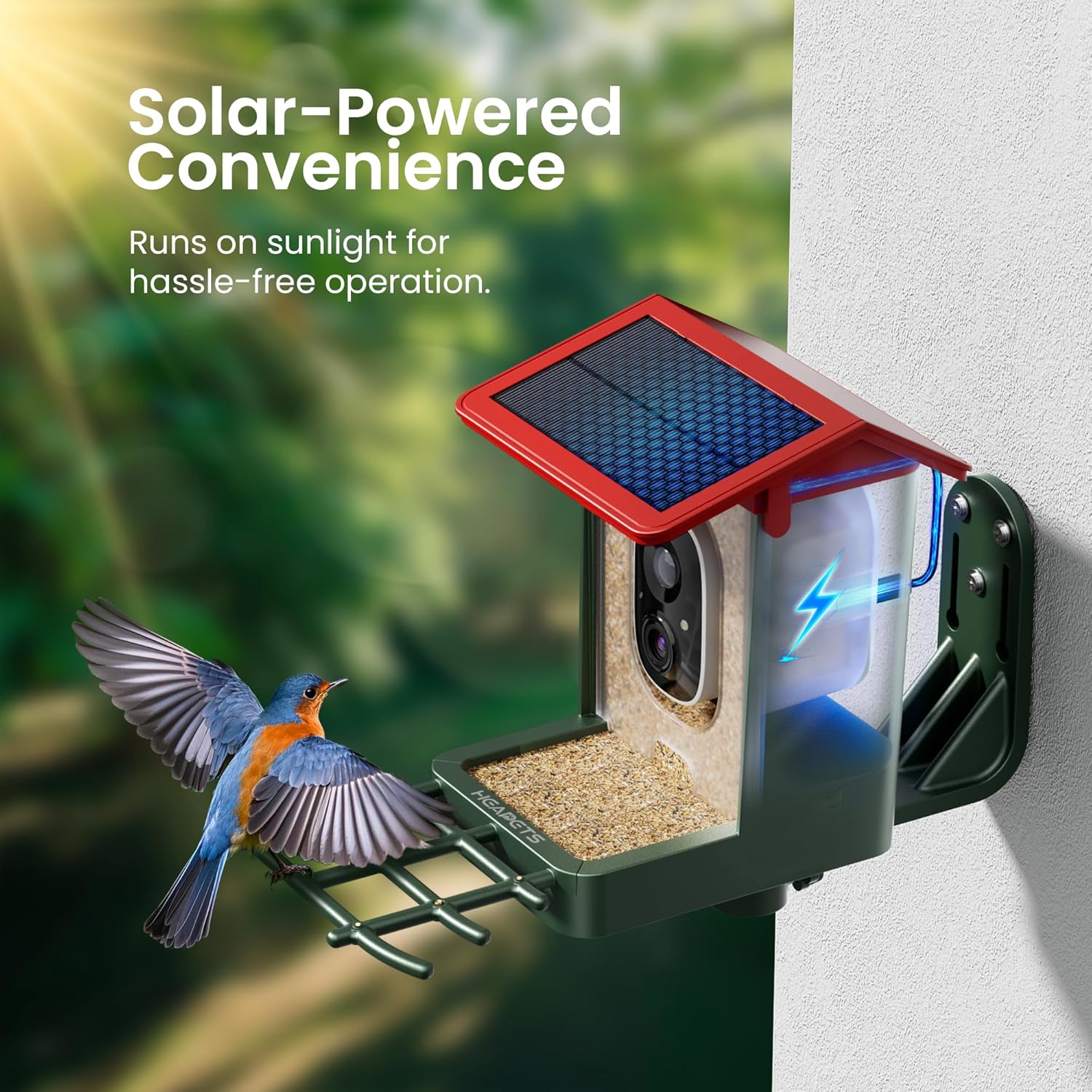 Detalle de Smart Bird Feeder with Camera – Solar Powered, 2K HD Video, AI Bird Identification, Red