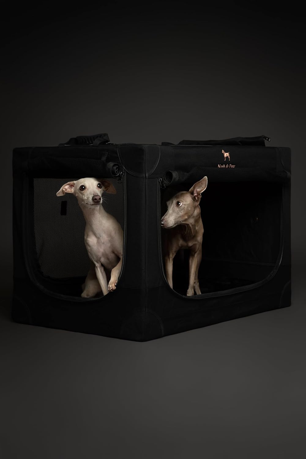 Detalle de Noah & Paw 30-Inch Collapsible Dog Crate (Large) with 10mm Locking Zippers and Pet Mat