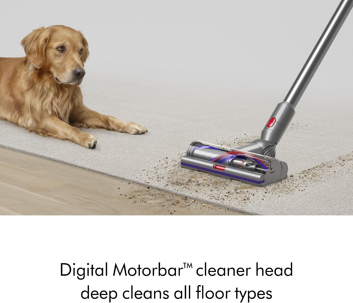 Detalle de Dyson cordless vacuum V15