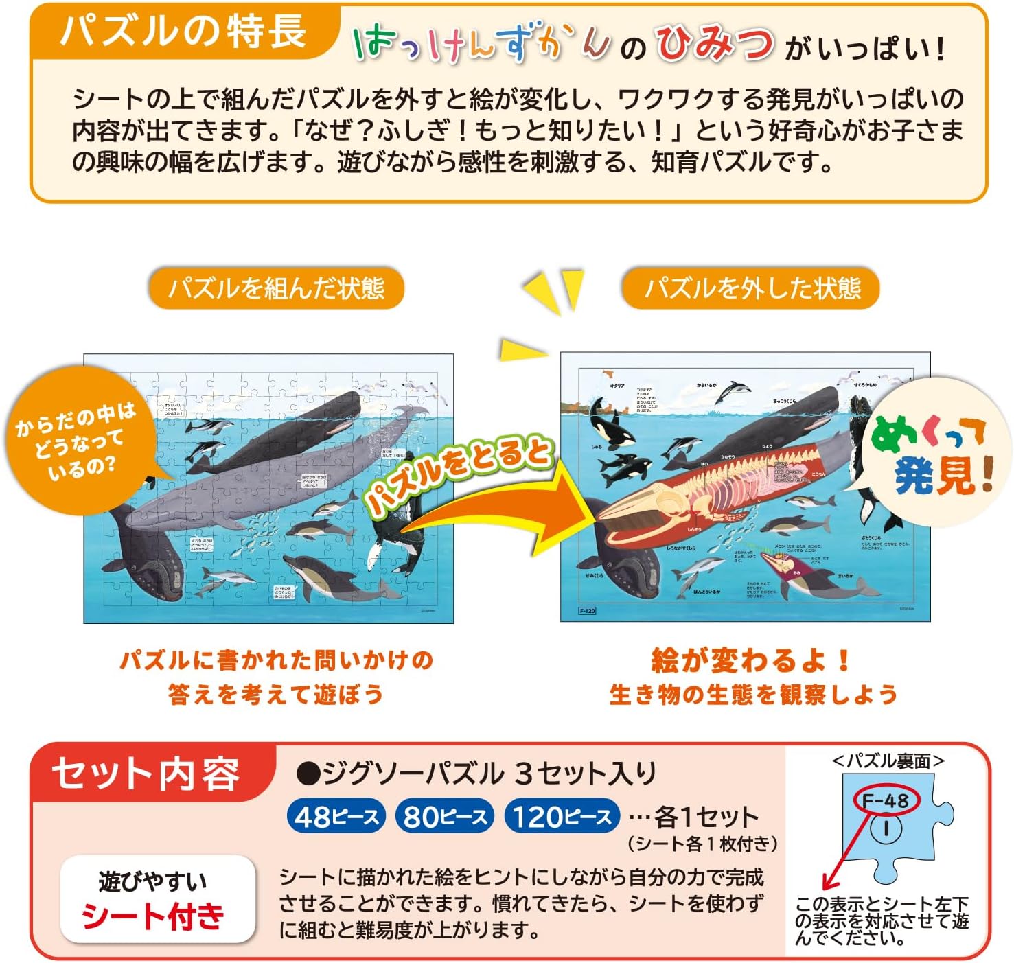 Thumbnail 6 de 学研 はっけんパズル うみ STEP3 83538|3歳以上向け、48・80・120ピースのジグソーパズル