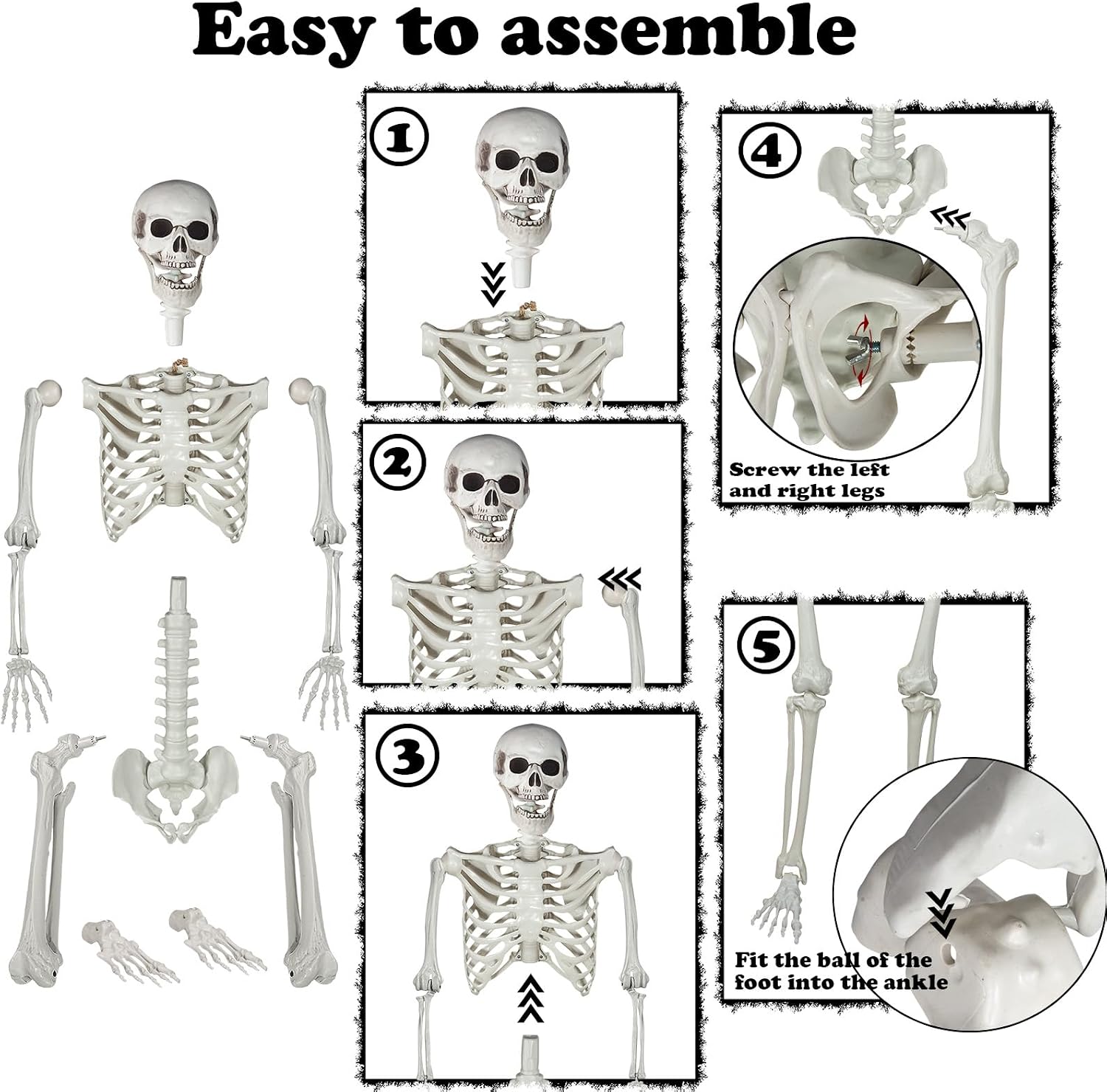 Detalle de XONOR 180cm-GJZ Life-Size Plastic Skeleton with Movable Joints