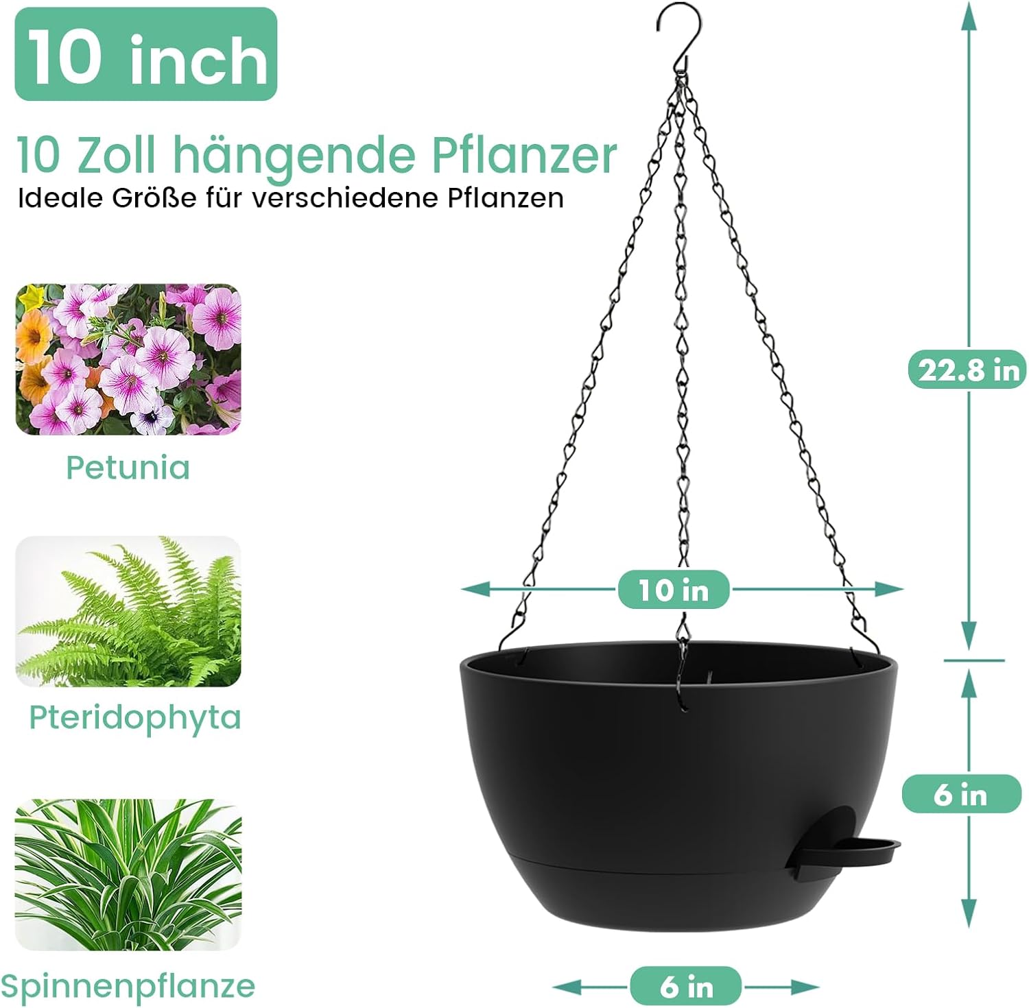Thumbnail 2 de Homeuouz 25cm Selbstbewässernde Hängende Blumenampel 2er-Set – Pflanzpracht für Innen & Außen