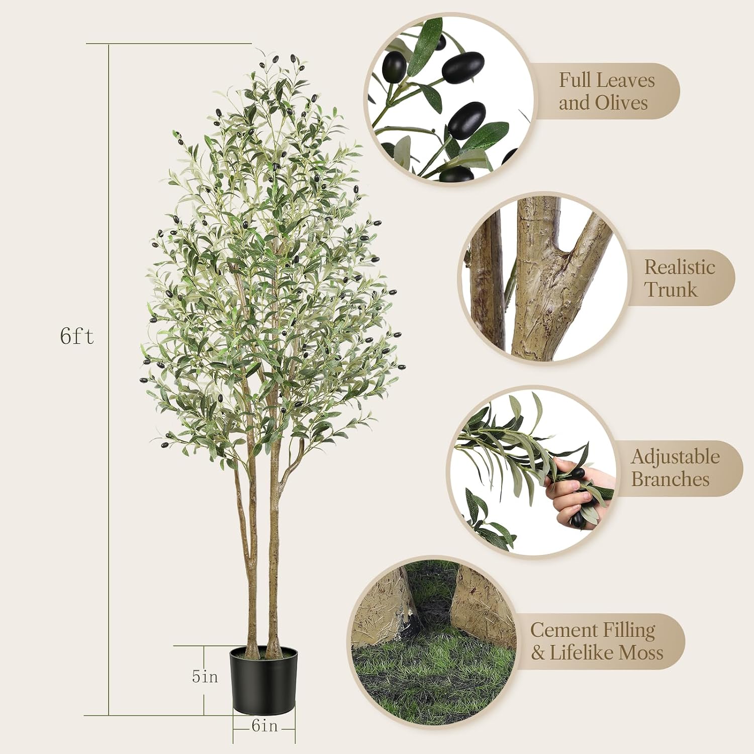 Detalle 2 de Alupssuc 6FT Olive Tree