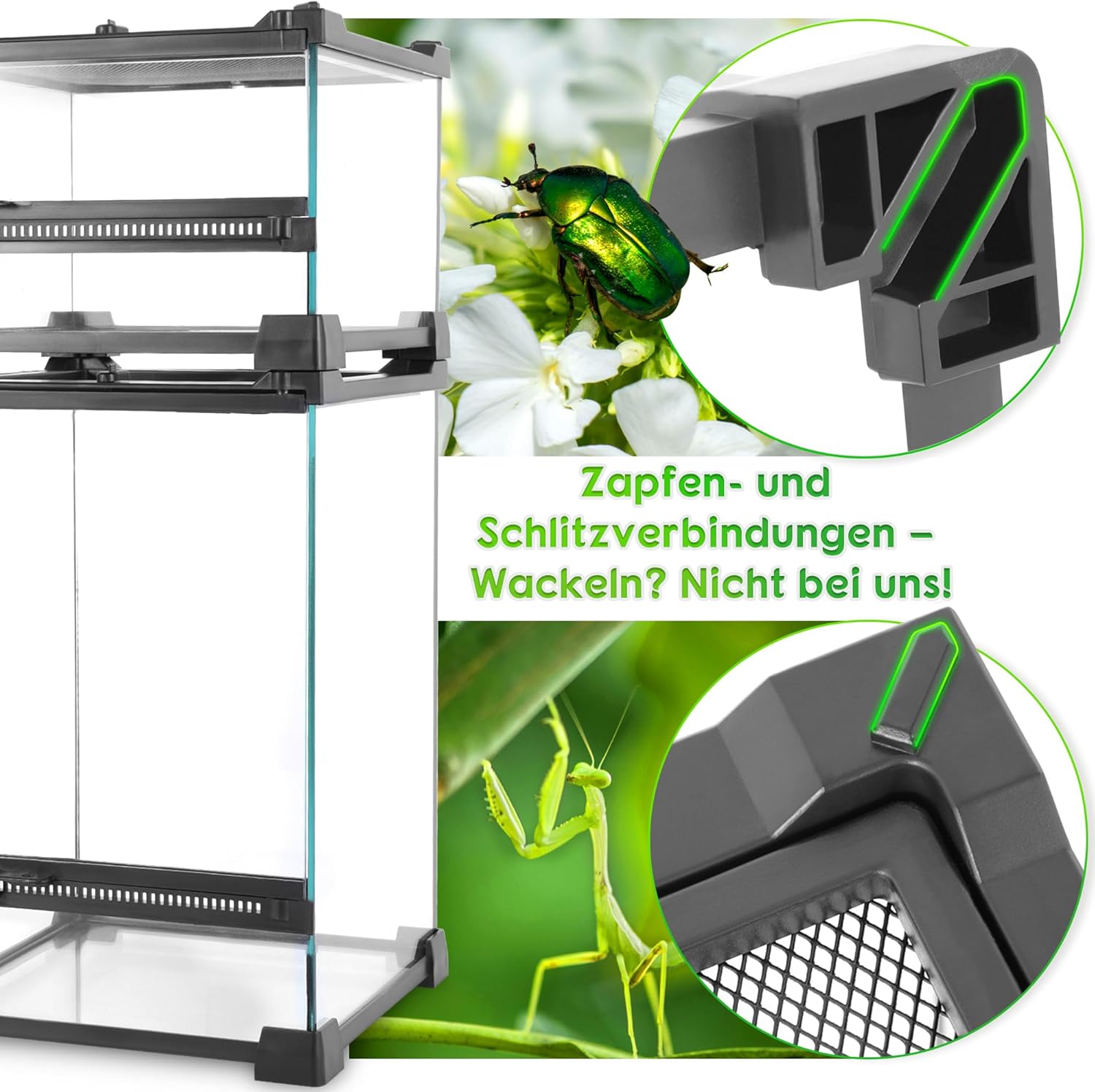 Thumbnail 1 de NEPTONION 32 Gallonen Glasterrarium 🐢