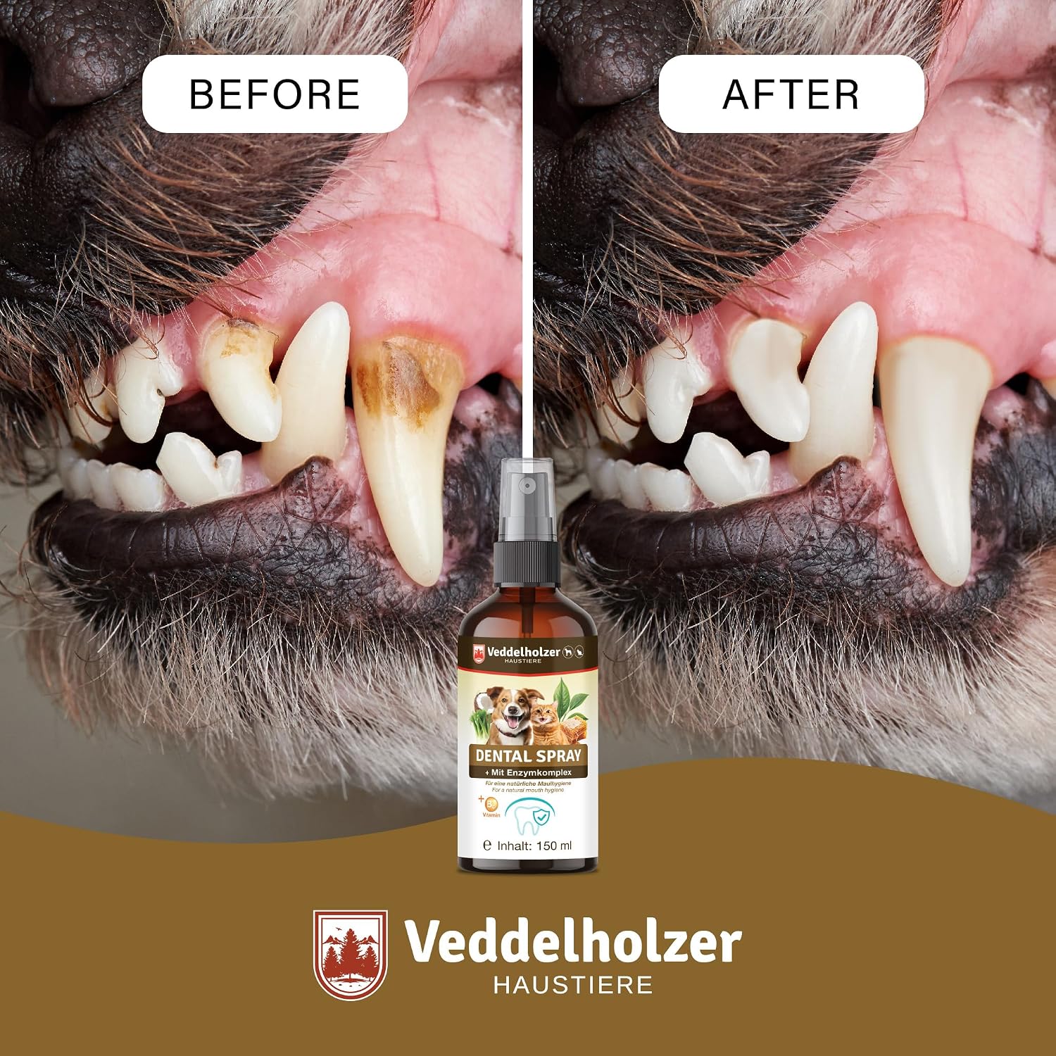 Detalle 2 de Veddelholzer Probiotisches Dentalspray Set für Hunde & Katzen – 150 ml mit Fingerzahnbürste und Enzymkomplex
